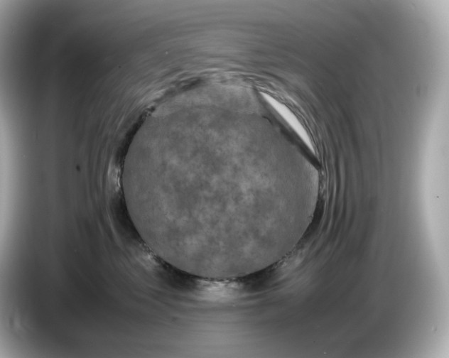 X0000087010621200704301419