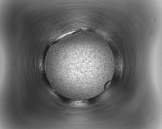 X0000087010622200704301419