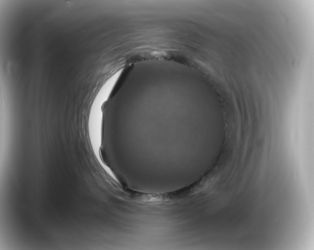 X0000087010624200704301419