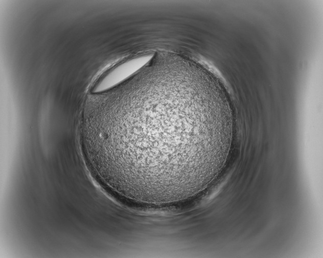 X0000087010625200704301418