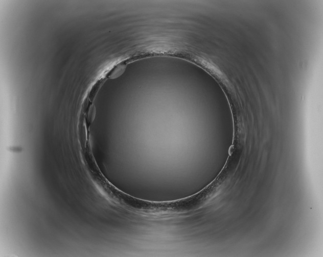 X0000087010626200704301418