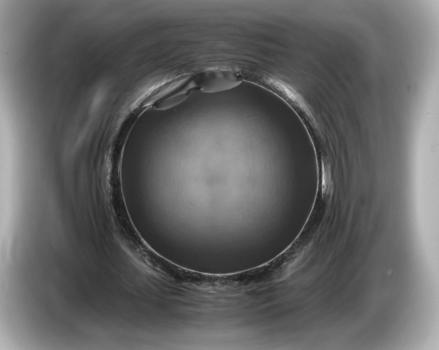 X0000087010627200704301418