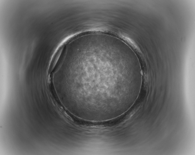 X0000087010628200704301418