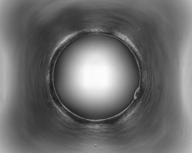 X0000087010629200704301418