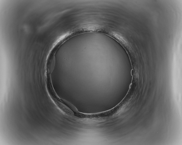 X0000087010630200704301418