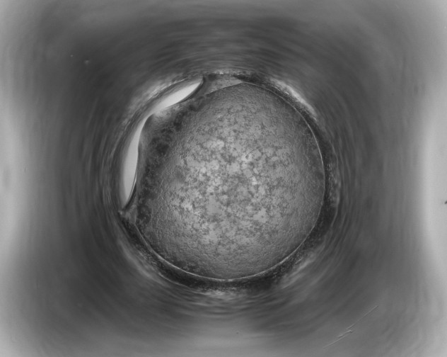 X0000087010631200704301418