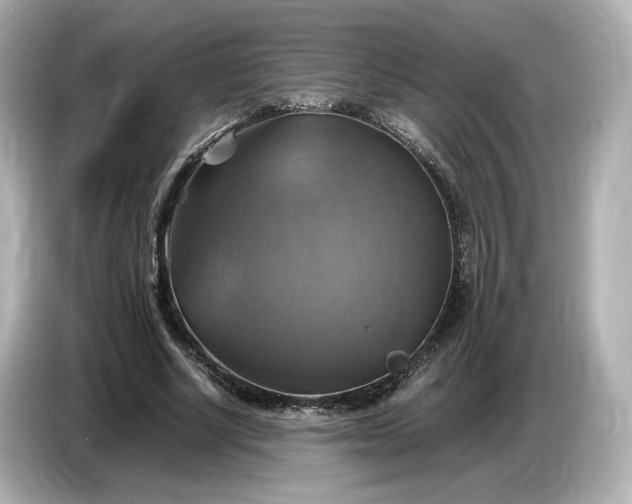 X0000087010634200704301418