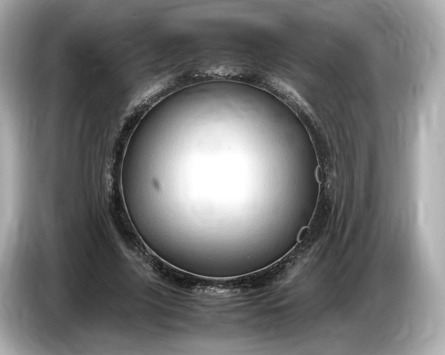 X0000087010635200704301418