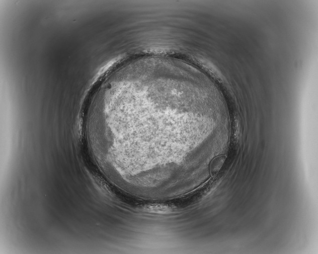 X0000087010636200704301418