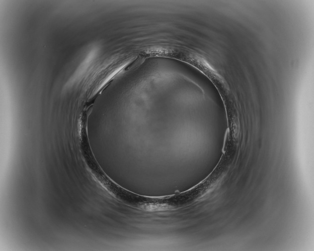 X0000087010637200704301418