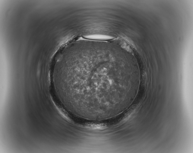 X0000087010638200704301418