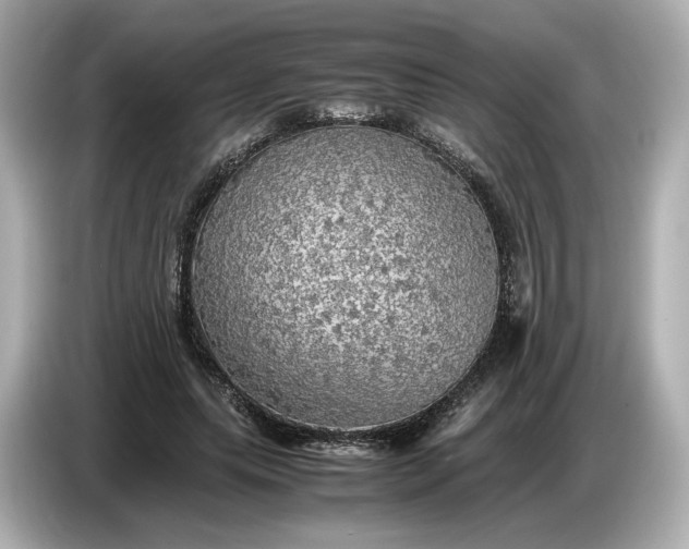 X0000087010639200704301418