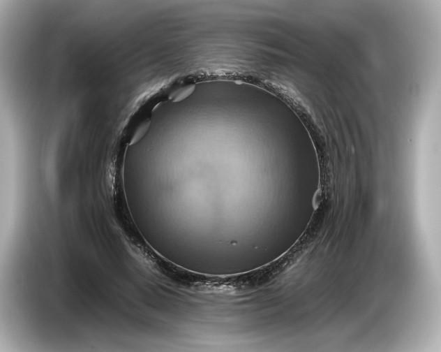 X0000087010640200704301418