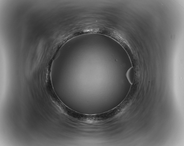 X0000087010641200704301418