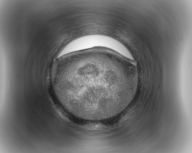 X0000087010642200704301418