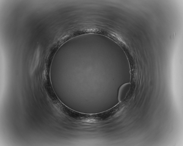 X0000087010643200704301418