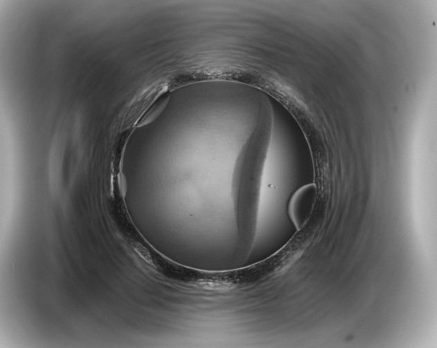 X0000087010644200704301418