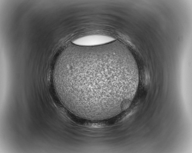 X0000087010645200704301418