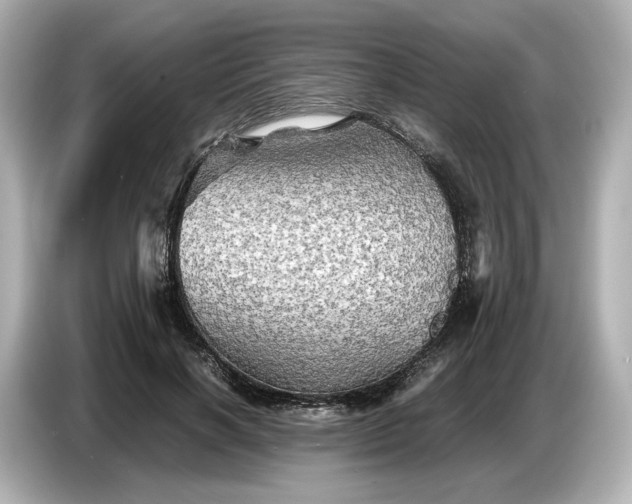 X0000087010646200704301418