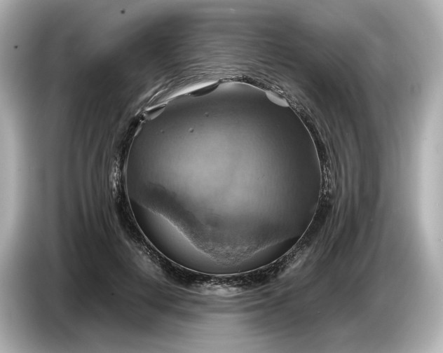 X0000087010648200704301418