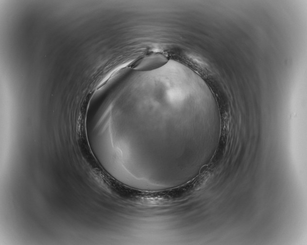 X0000087010650200704301418