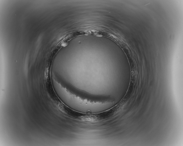 X0000087010652200704301418