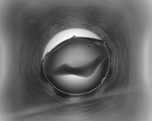 X0000087010653200704301418