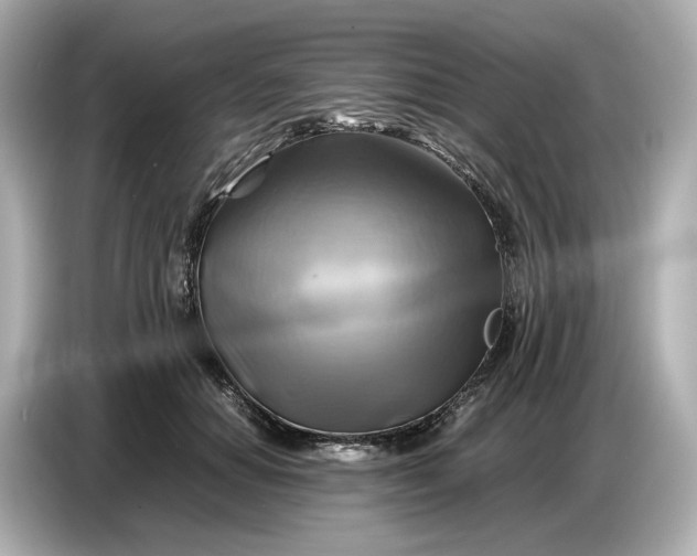 X0000087010654200704301419