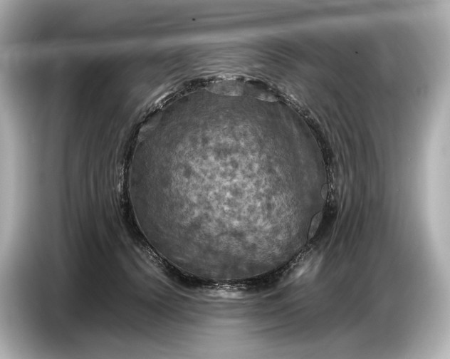 X0000087010656200704301419