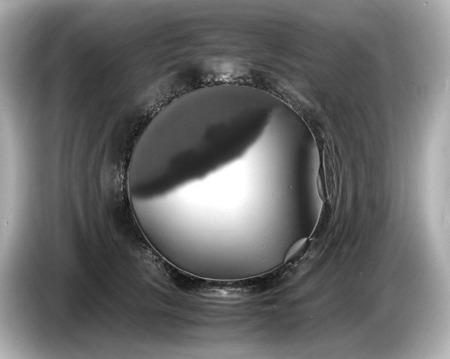 X0000087010657200704301419