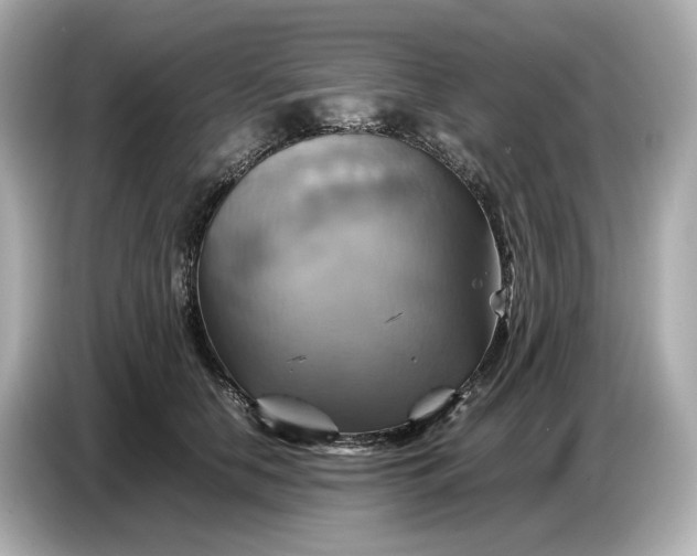 X0000087010658200704301419