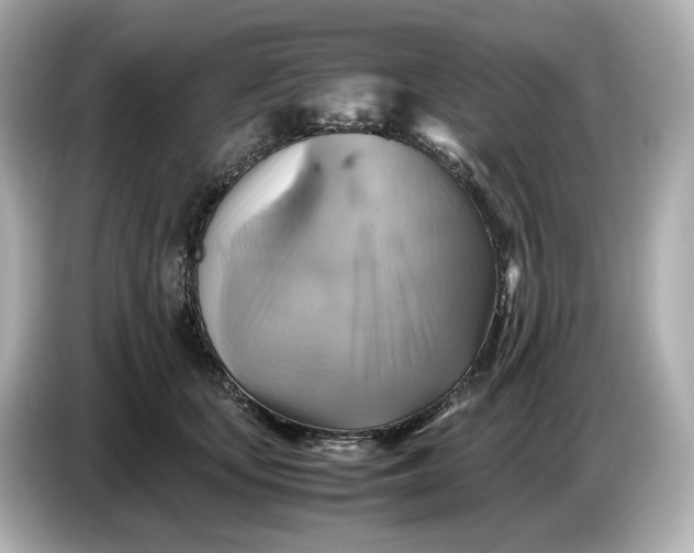 X0000087010659200704301419