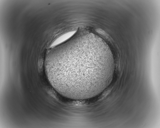 X0000087010660200704301419