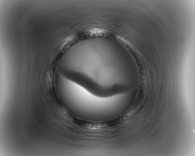 X0000087010661200704301419