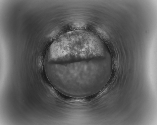 X0000087010662200704301419