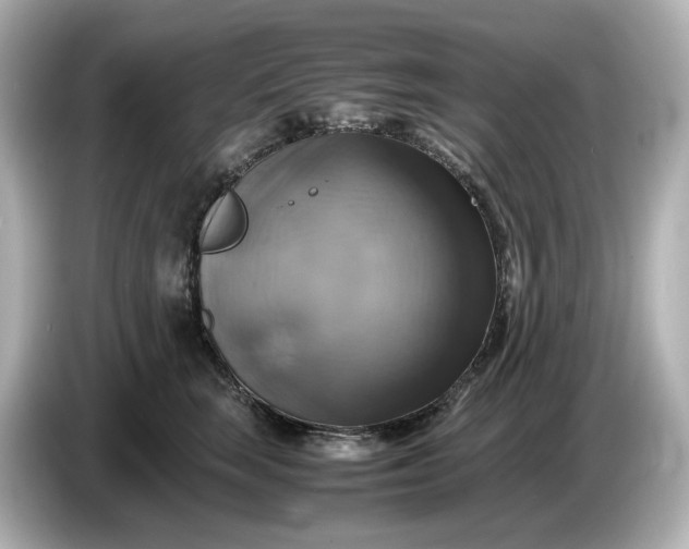 X0000087010663200704301419