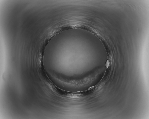 X0000087010664200704301419