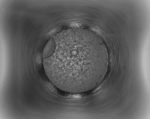 X0000087010665200704301419