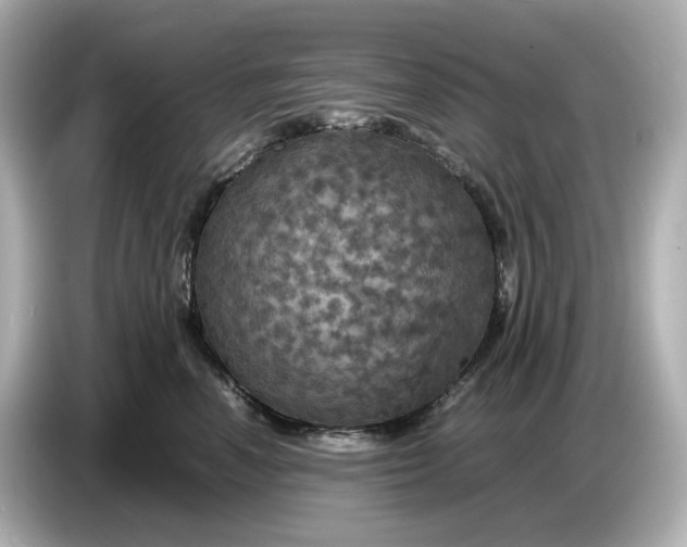 X0000087010666200704301419