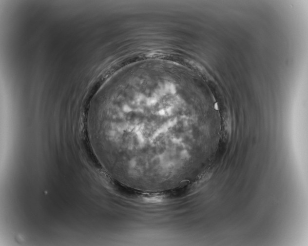 X0000087010667200704301419