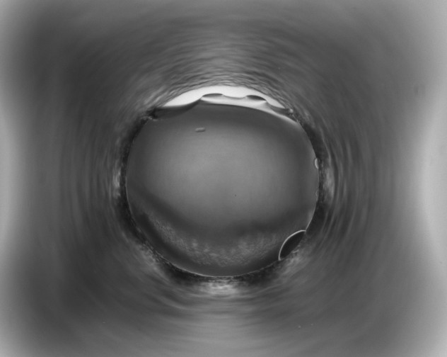 X0000087010668200704301419