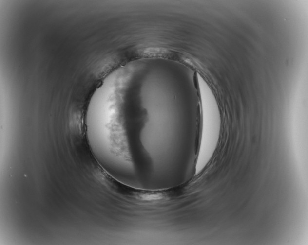 X0000087010669200704301419