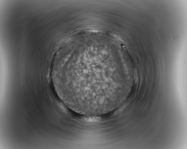 X0000087010670200704301419