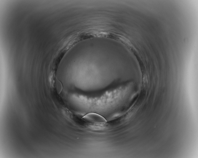 X0000087010671200704301419