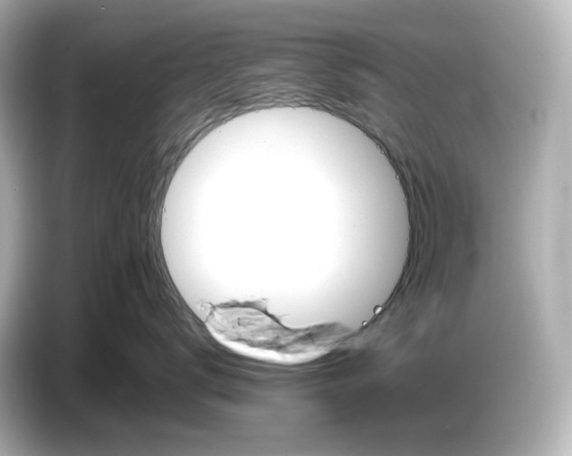 X0000087010672200704301419