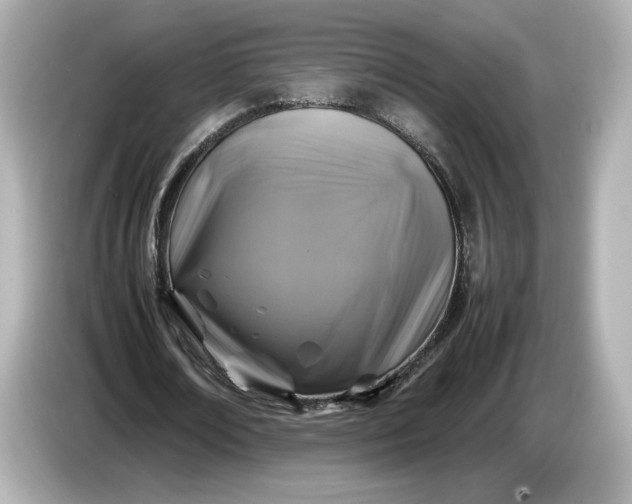 X0000087010674200704301418