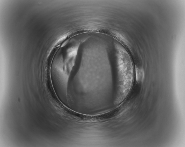 X0000087010675200704301418