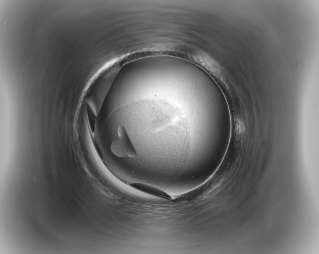 X0000087010676200704301418