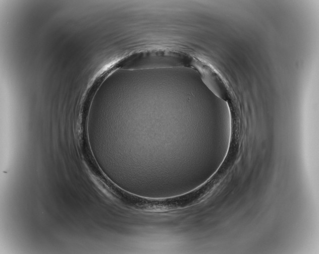 X0000087010677200704301418