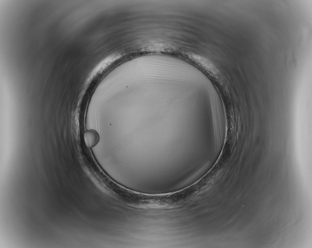 X0000087010678200704301418